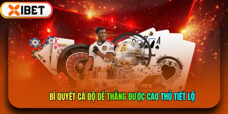 Bí quyết cá độ dễ thắng được cao thủ tiết lộ