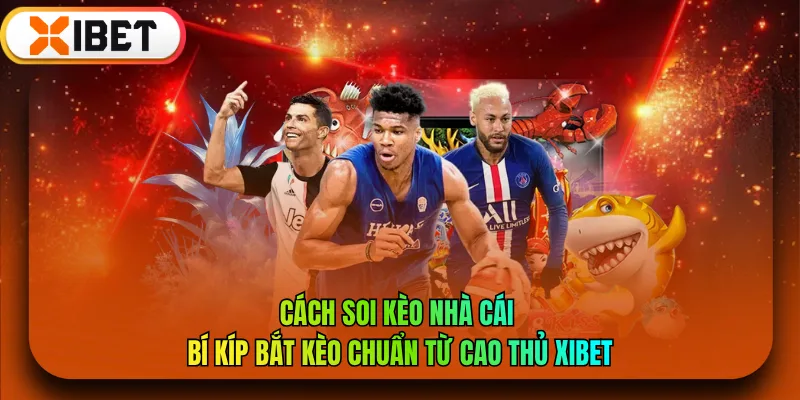 Cách Soi Kèo Nhà Cái - Bí Kíp Bắt Kèo Chuẩn Từ Cao Thủ XIBET